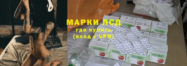 сатива Верея