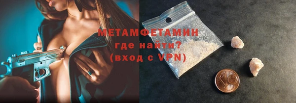 сатива Верея