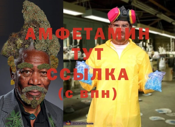 сатива Верея