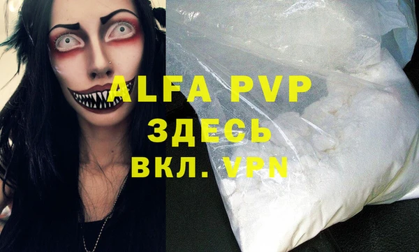 сатива Верея