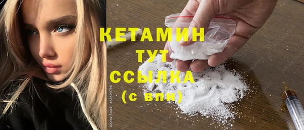сатива Верея