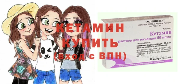 сатива Верея
