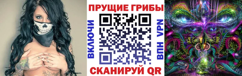 Галлюциногенные грибы Magic Shrooms  мега ONION  Нижний Новгород  что такое наркотик 